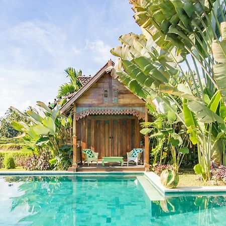 Hati Padi Cottages Ουμπούντ Εξωτερικό φωτογραφία