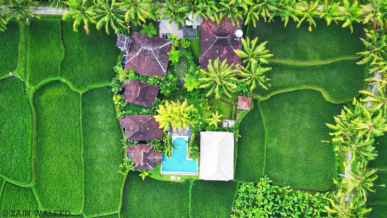 Hati Padi Cottages Ουμπούντ Εξωτερικό φωτογραφία