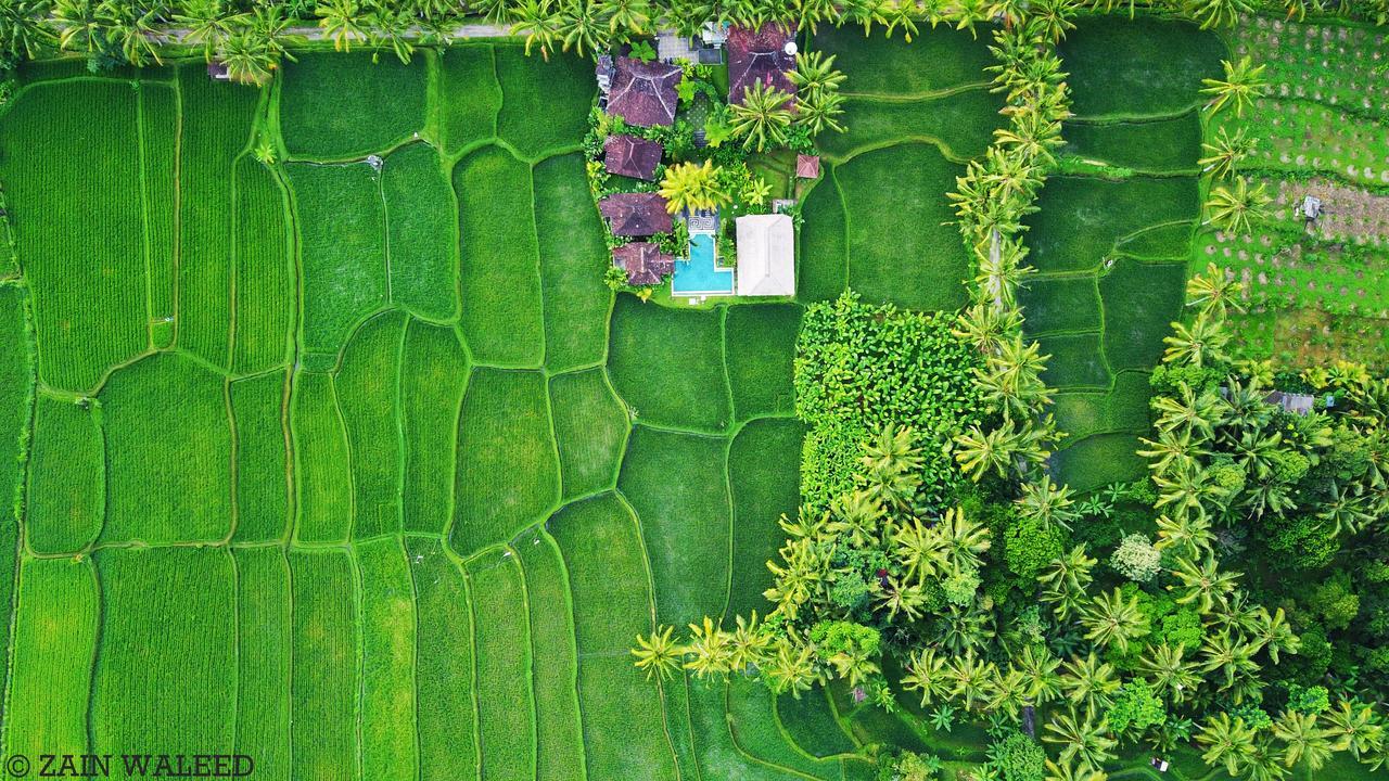 Hati Padi Cottages Ουμπούντ Εξωτερικό φωτογραφία