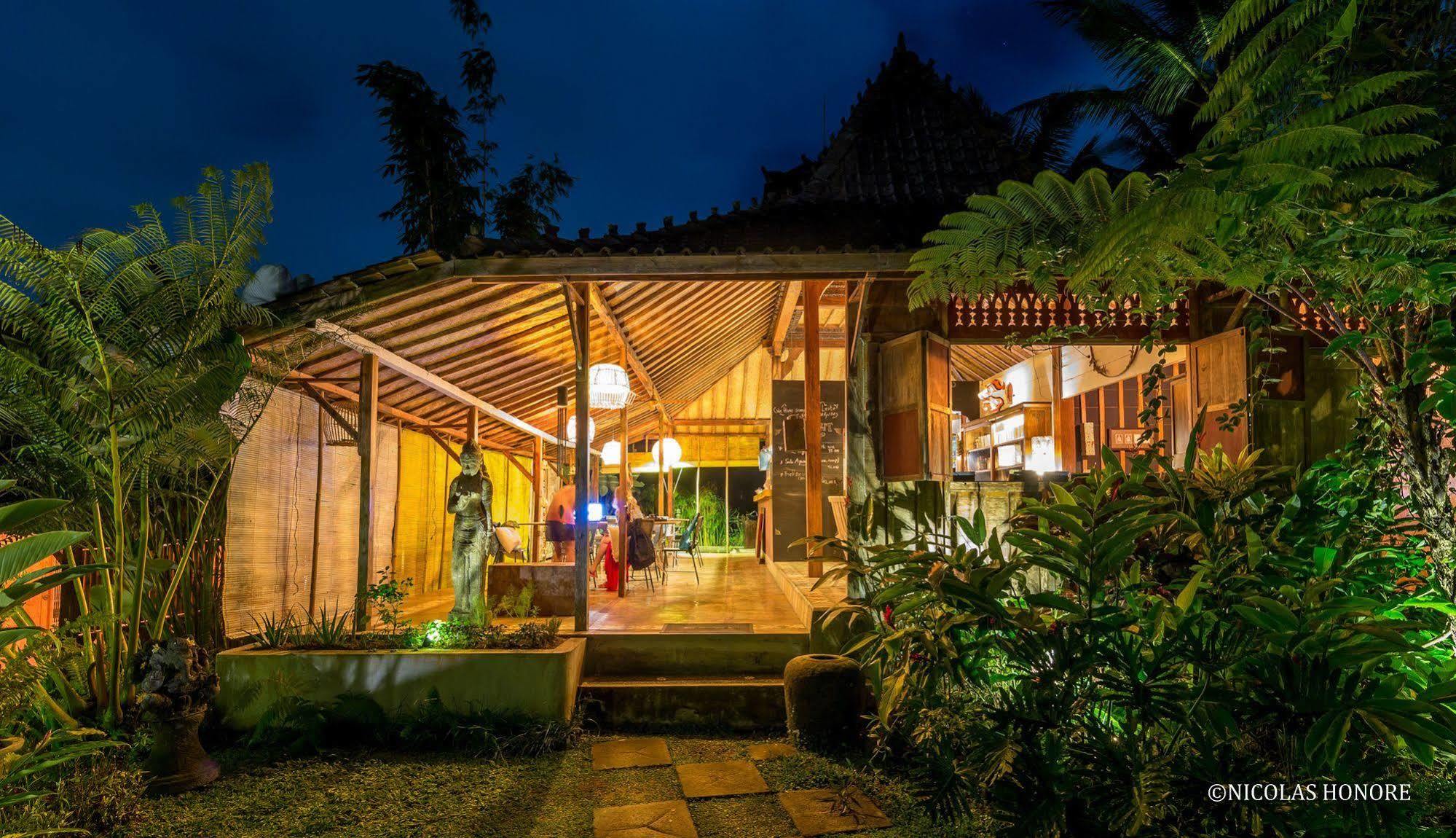 Hati Padi Cottages Ουμπούντ Εξωτερικό φωτογραφία