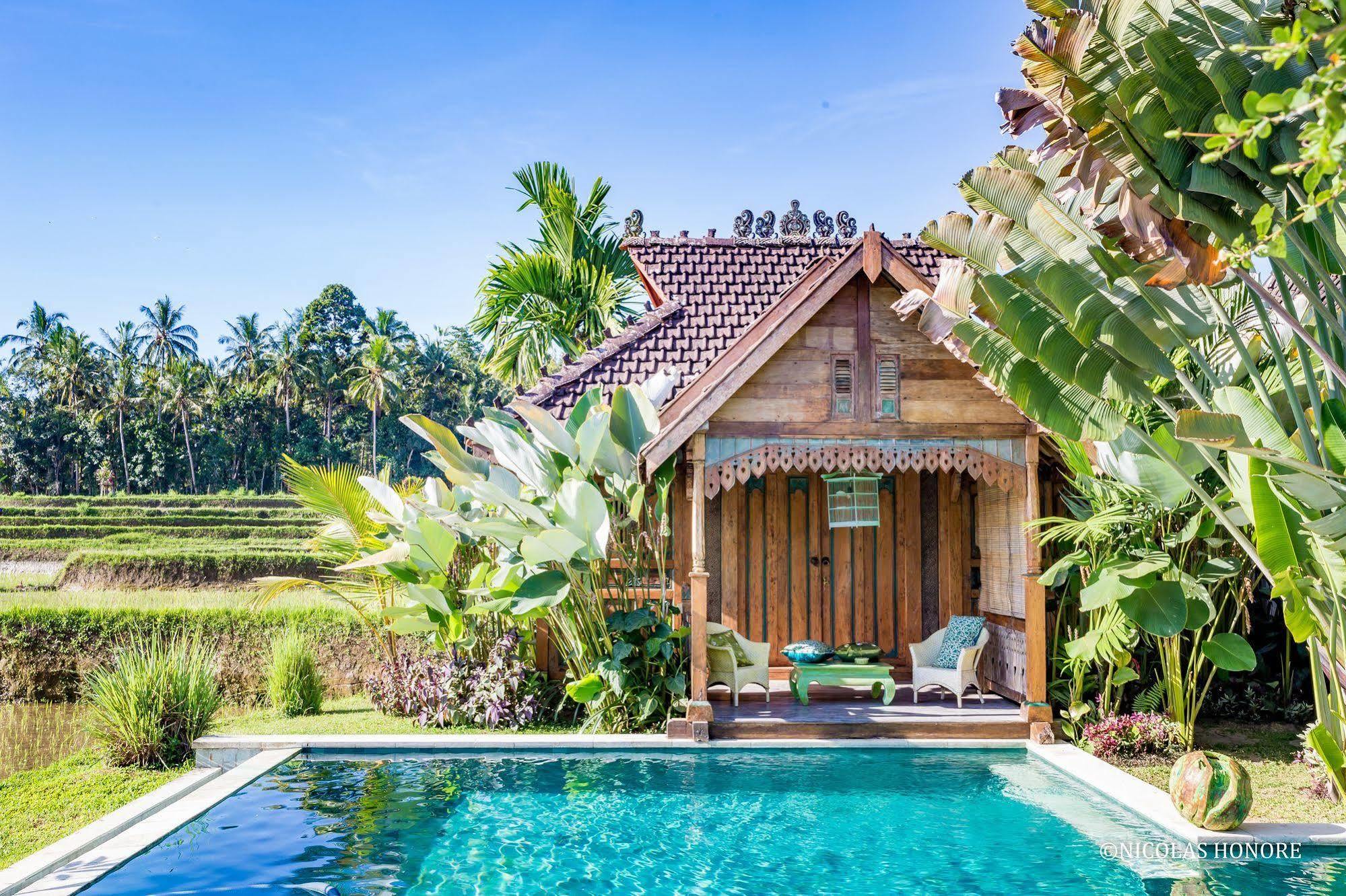 Hati Padi Cottages Ουμπούντ Εξωτερικό φωτογραφία