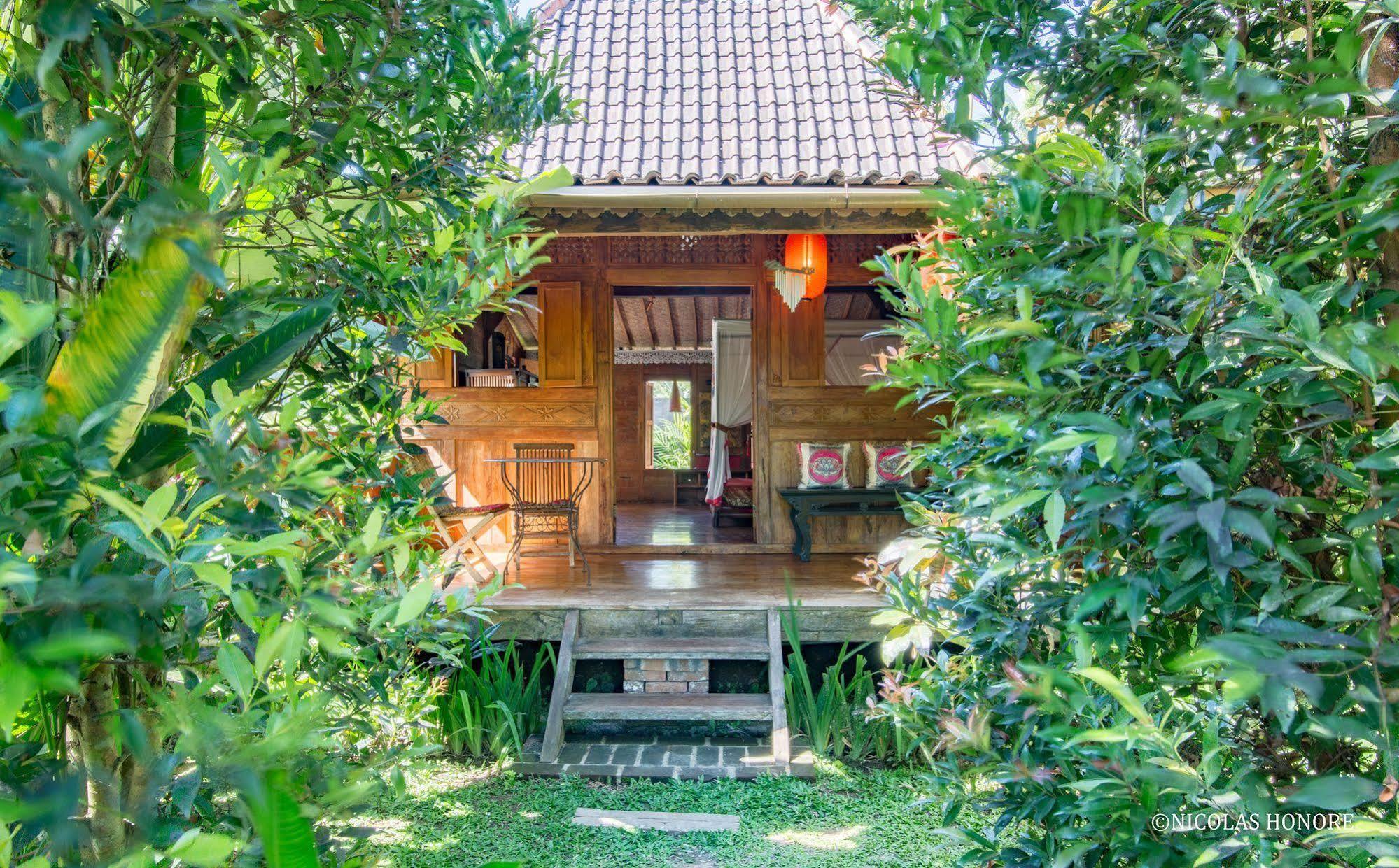 Hati Padi Cottages Ουμπούντ Εξωτερικό φωτογραφία